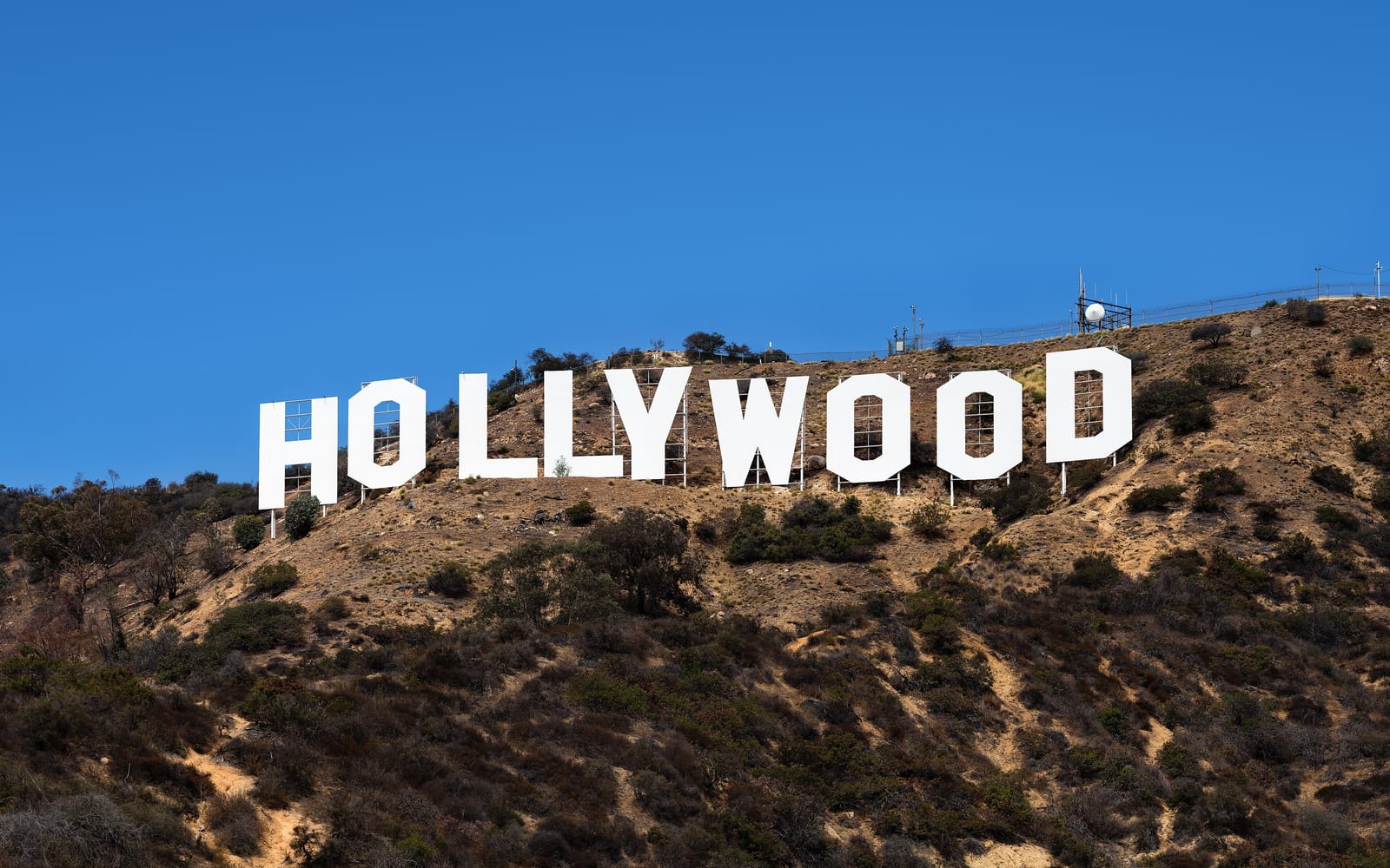 Best Car Service in Los Angeles (2026): Ranked by Rubric